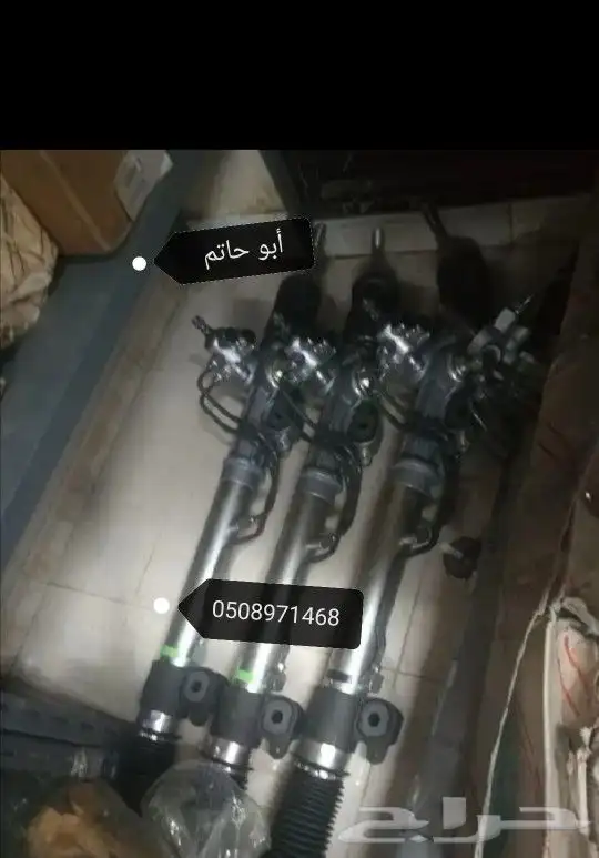 دودة دركسيون 4