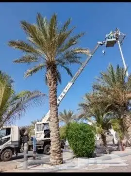 تأجير كرينات ورافعات شوكية وسطحات الونش 1