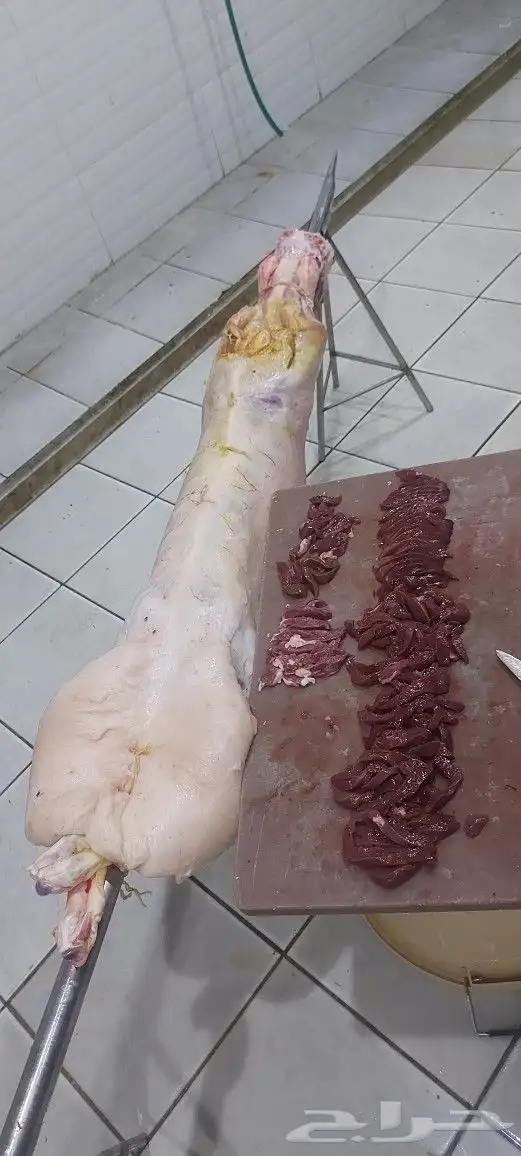 مطعم الخير يقدم خاروف مشوي كامل 19