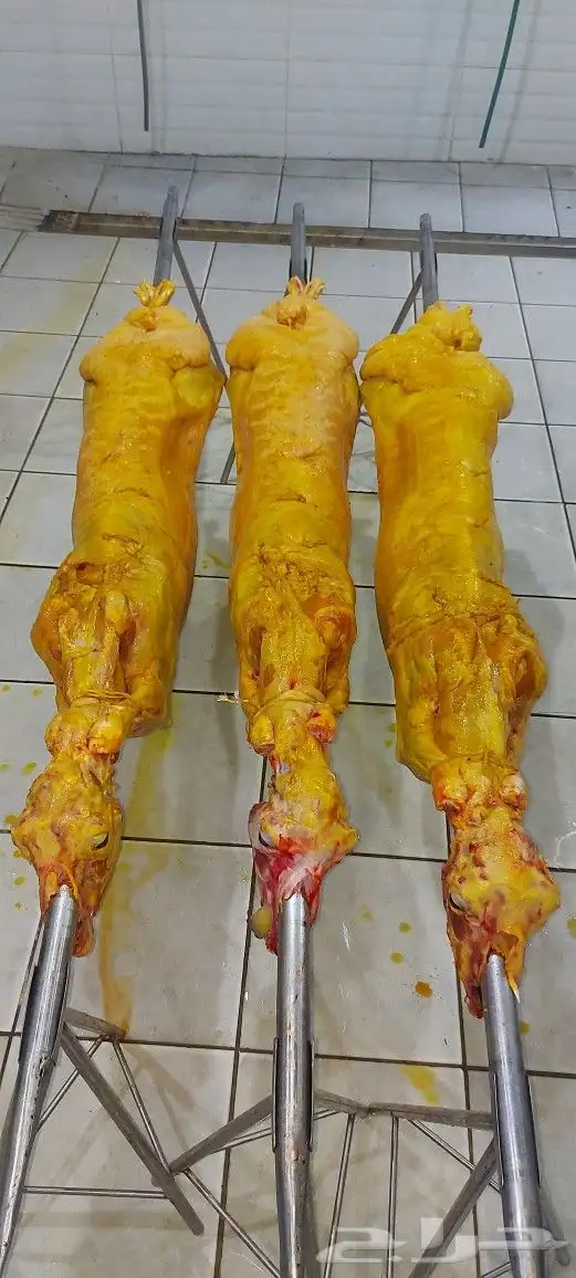 مطعم الخير يقدم خاروف مشوي كامل 8