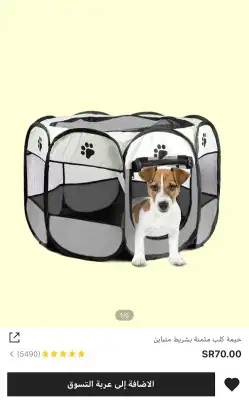 مستلزمات قطط وطيور هملايا شيرازي كروان كاسكو 46