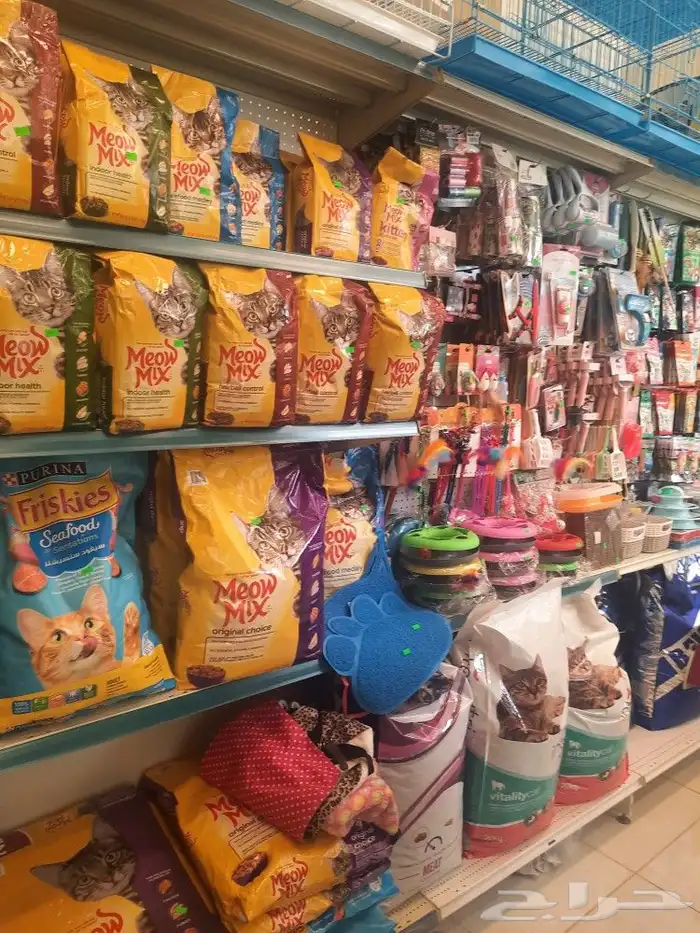 مستلزمات قطط وطيور هملايا شيرازي كروان كاسكو 5