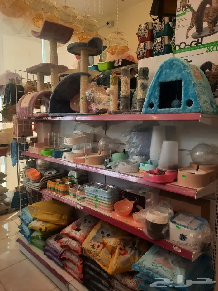 مستلزمات قطط وطيور هملايا شيرازي كروان كاسكو 0