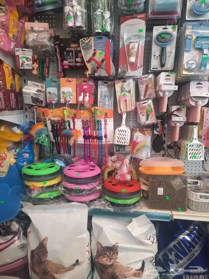 مستلزمات قطط وطيور هملايا شيرازي كروان كاسكو 6