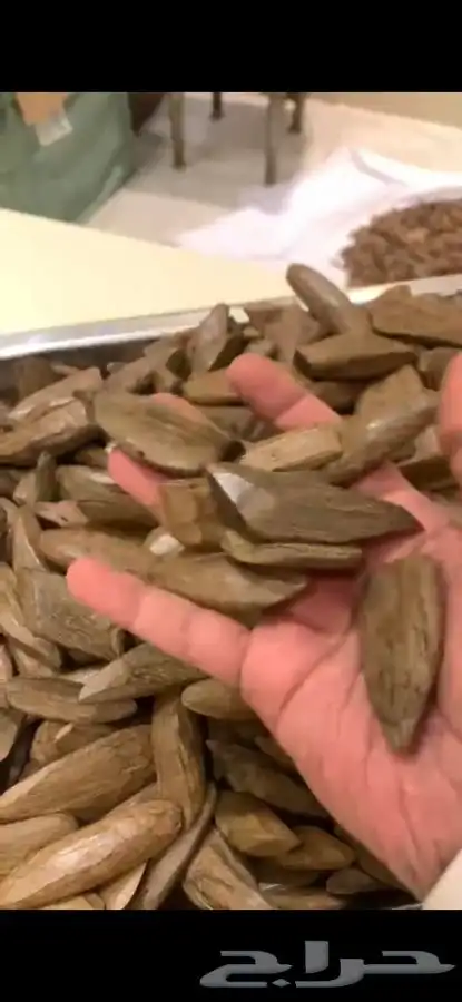عود مروكي طبيعي محسن بيووور 1