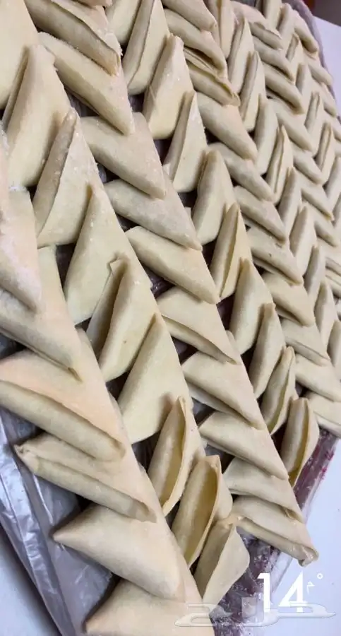 تم توفير سمبوسه بانواعها دجاج خضار لحم جبن 10