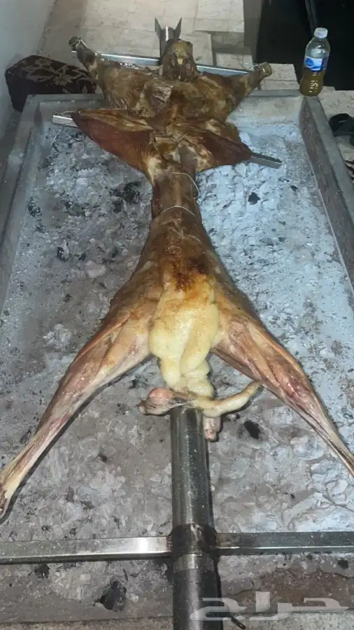طبخ جميع المناسبات مفرزال سليق مندي بخاري كابلي شوايه بوسنيه 14