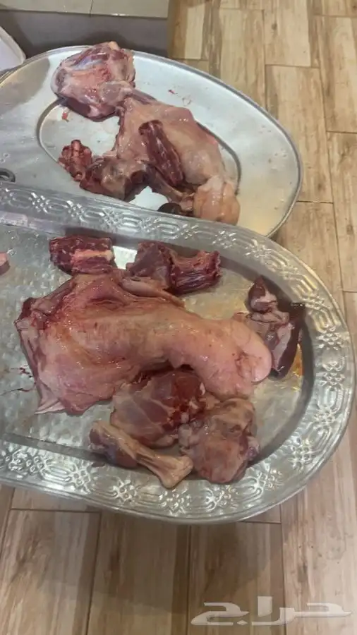 طبخ جميع المناسبات مفرزال سليق مندي بخاري كابلي شوايه بوسنيه 17