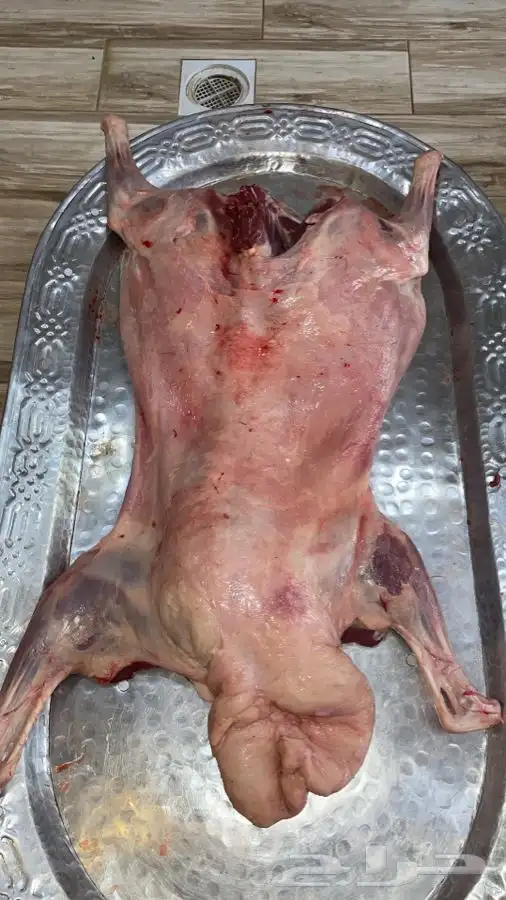 طبخ جميع المناسبات مفرزال سليق مندي بخاري كابلي شوايه بوسنيه 28