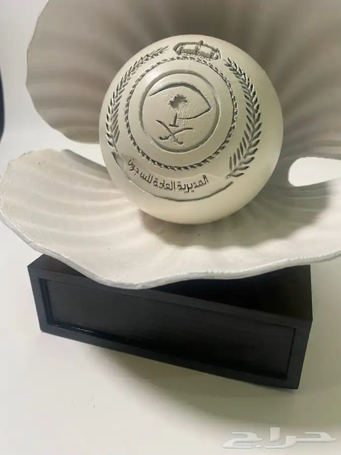 تحويل الشعار الى مجسمات على حسب الطلب 0