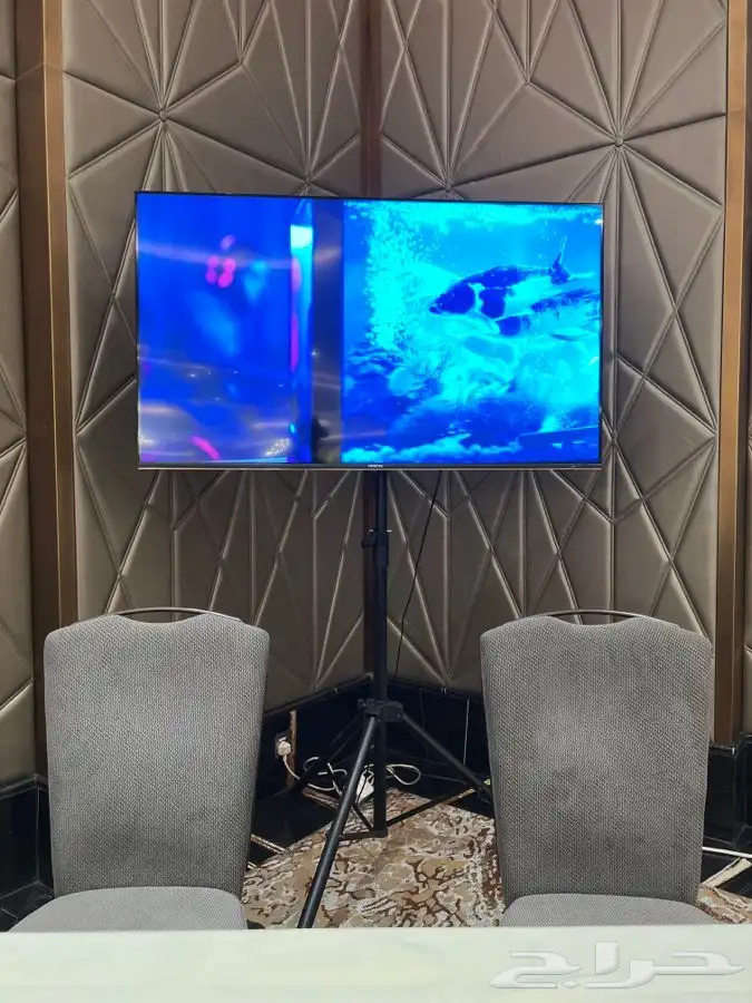 Rental of p2 -or -p3 led   تاجير شاشات وصوتيات 24