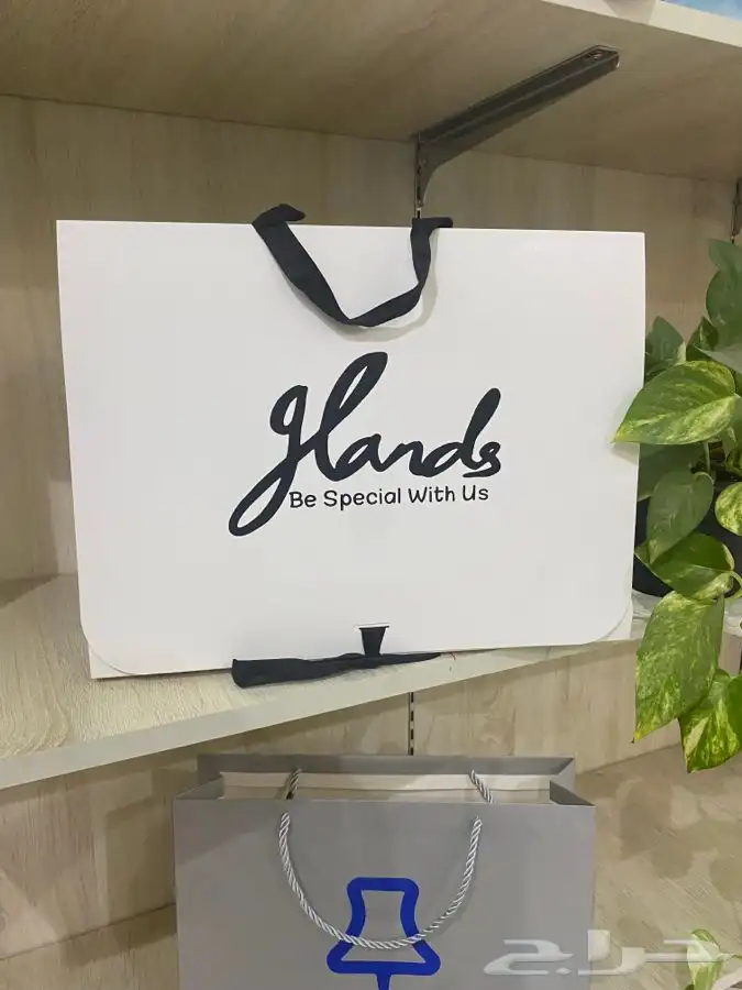 print-Logo-Lable-Bag-Box مطابع مطبعة دعاية واعلان لوقو بوكس 75