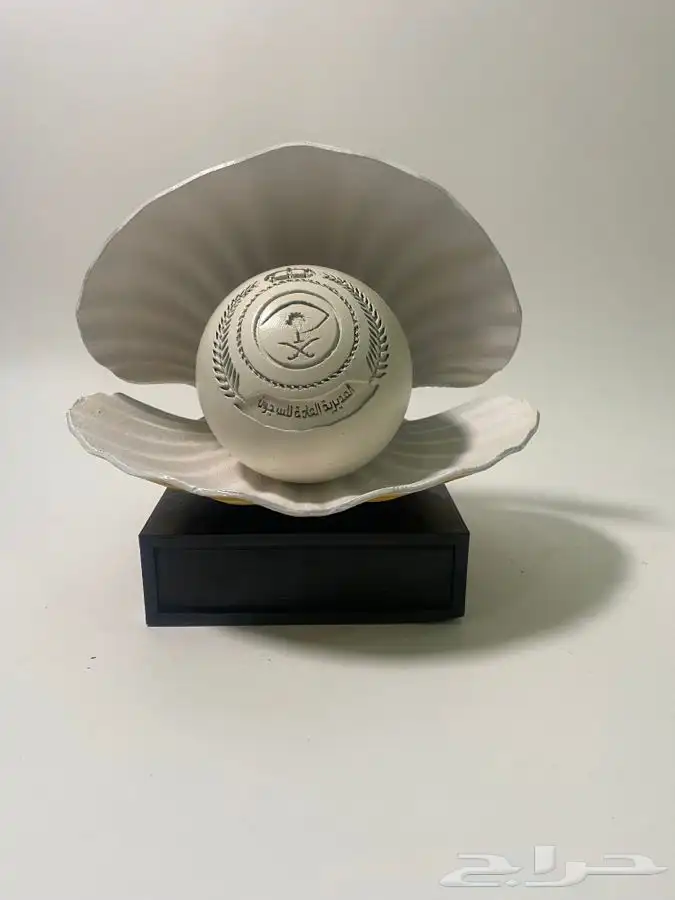 تحويل الشعار الى مجسمات على حسب الطلب 1