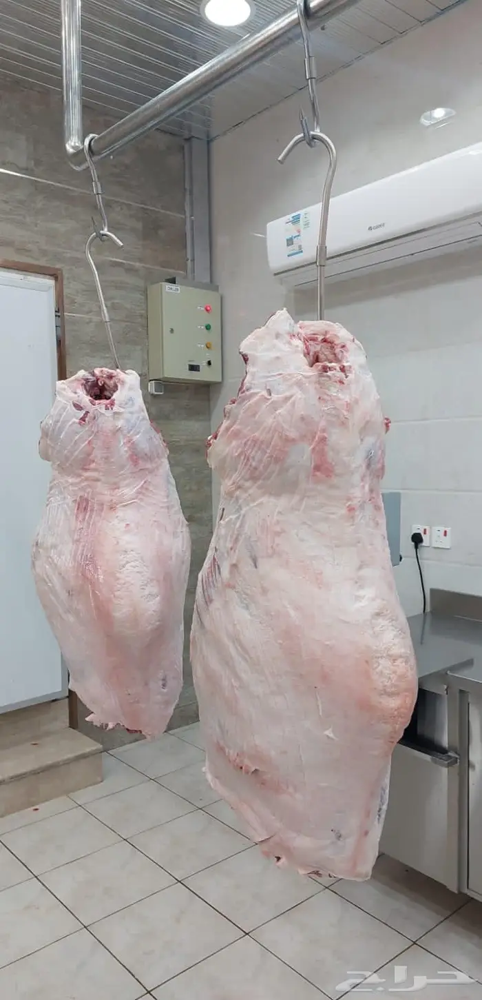 متجر ذبيحة 22