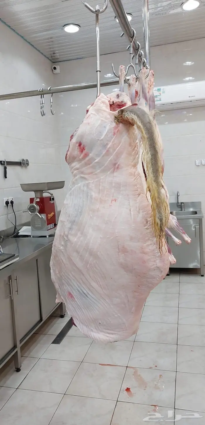 متجر ذبيحة 33
