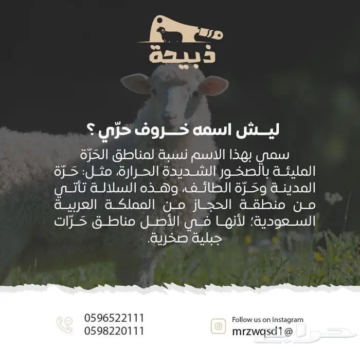 متجر ذبيحة 18