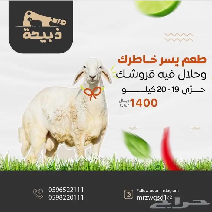 متجر ذبيحة 5
