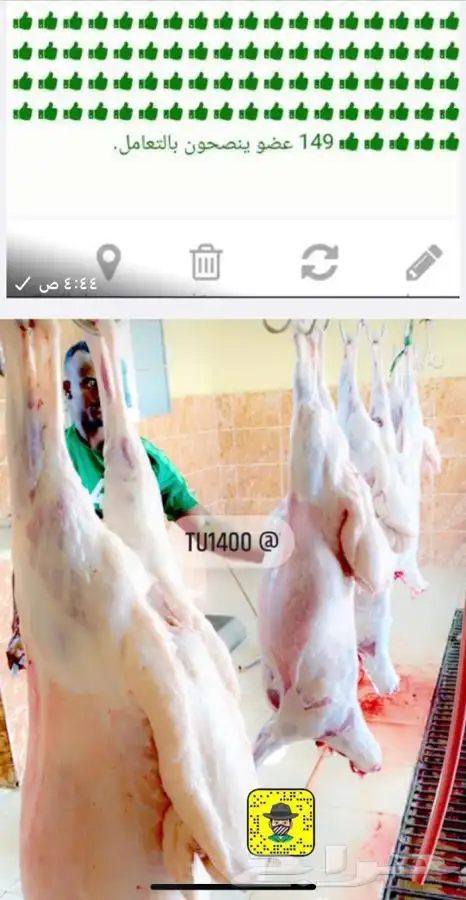 ذبايح خرفان رخال حريات مع السلخ والتوصيل 4