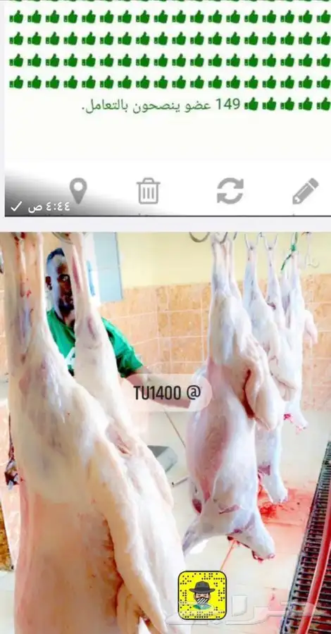 ذبايح خرفان رخال حريات مع السلخ والتوصيل 12