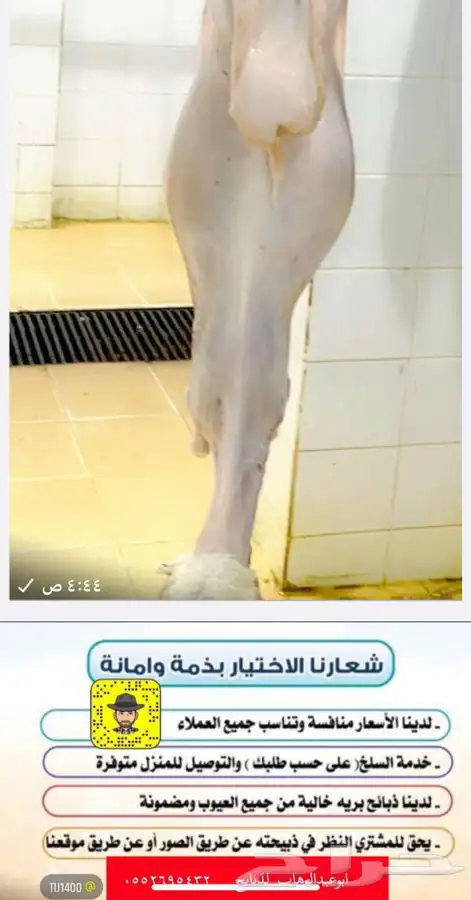 ذبايح خرفان رخال حريات مع السلخ والتوصيل 9