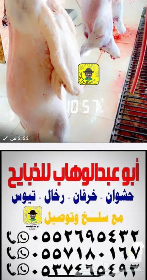 ذبايح خرفان رخال حريات مع السلخ والتوصيل 5