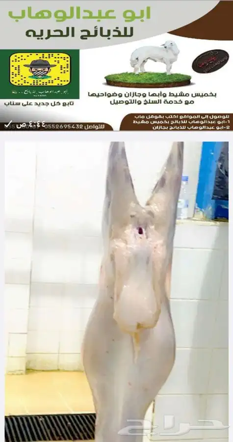 ذبايح خرفان رخال حريات مع السلخ والتوصيل 7