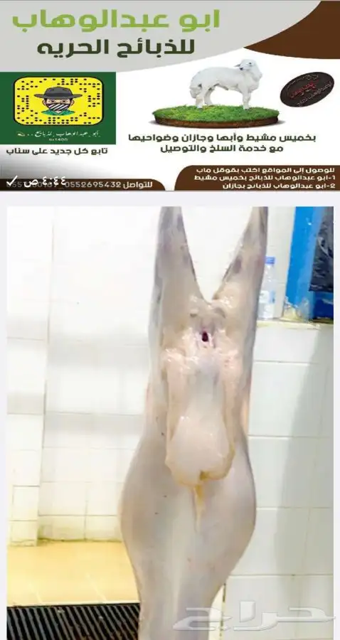 ذبايح خرفان رخال حريات مع السلخ والتوصيل 8