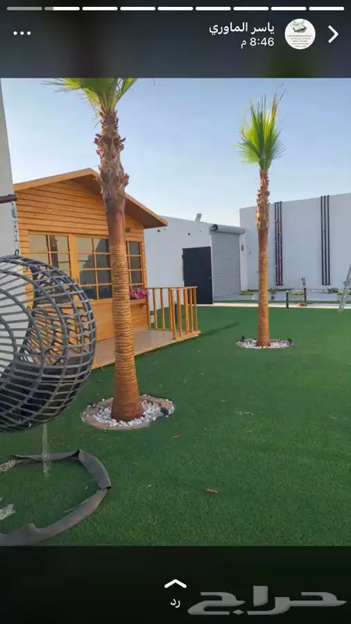 توريد نخيل 11