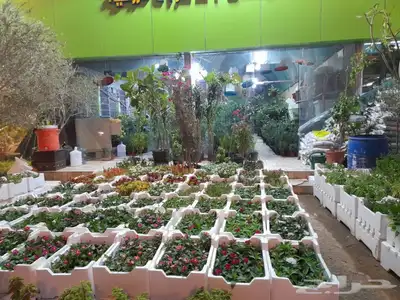 مشتل وتنسيق حدائق 0507622715 47