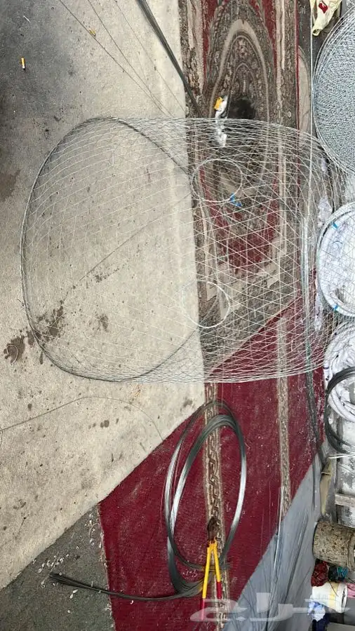 قفص او قرقور لتربية دجاج شامو للبيع 7