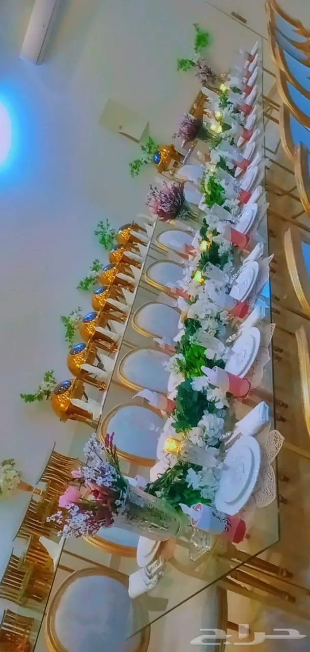 بوفيه مفتوح للمناسبات والاحتفالات 0