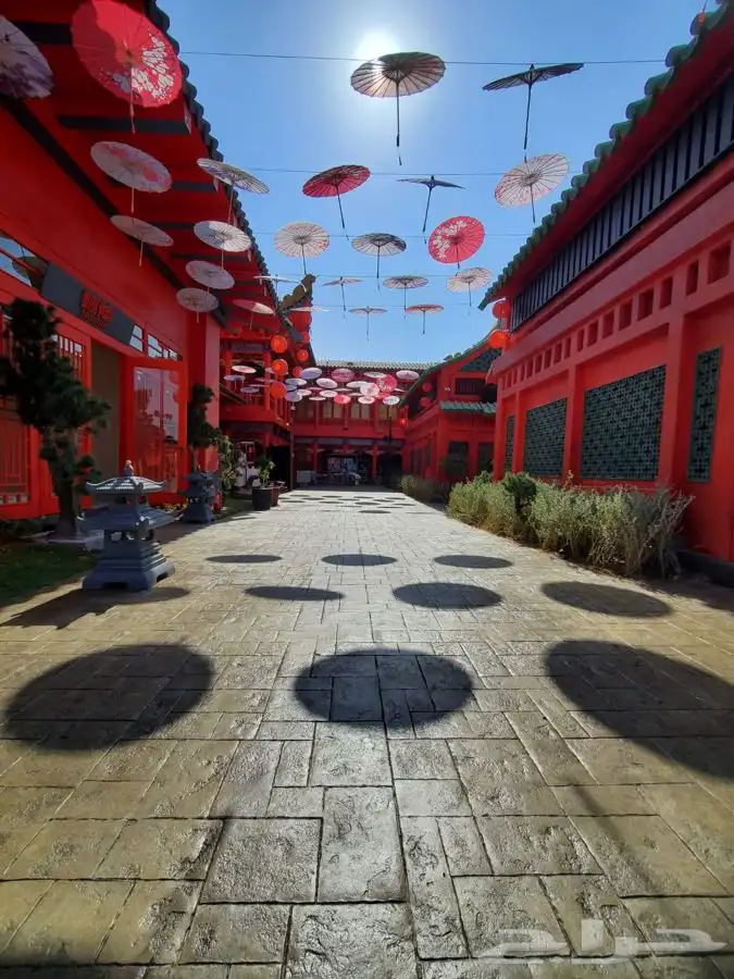 الأرضيات السعودية للخرسانة المطبوعة الملونة 1