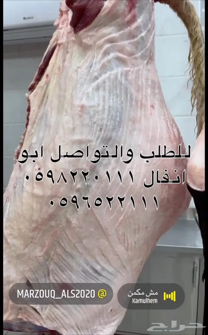 متجر ذبيحة 37