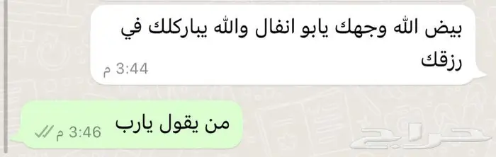 متجر ذبيحة 62