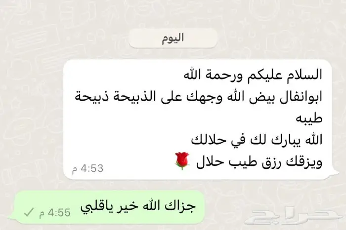 متجر ذبيحة 68