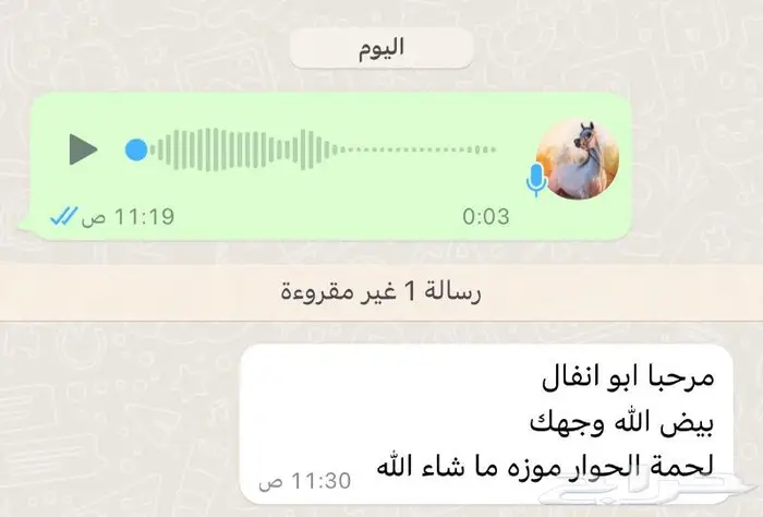 متجر ذبيحة 42