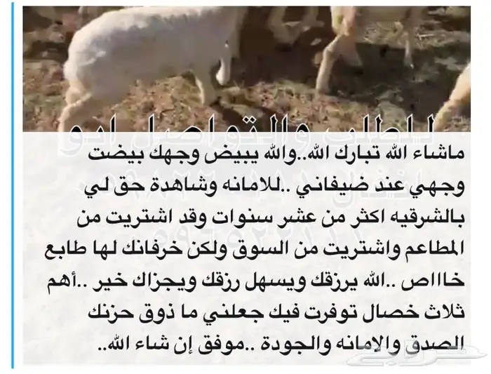 متجر ذبيحة 49
