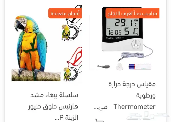 مستلزمات طيور حسون ببغاء روز كروان كاسكو كناري 17