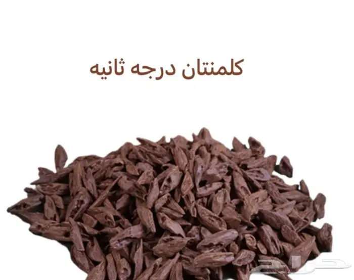 اللي حاب يبدا تجاره العود فيها خير ورزق حياكم 3