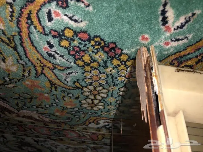 راديو فيليبس انتيك antique philips radio 7