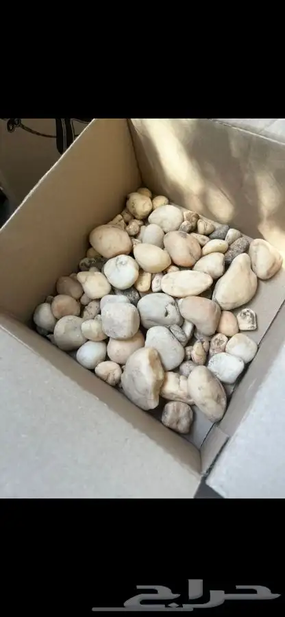 حجر مظبي مرخ سلع حجر سمن 00توصيل فوري00 10
