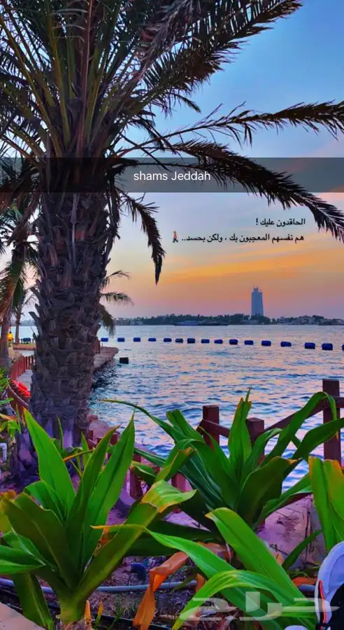 رحلات سباحة وتشميس مالديف جدة 53