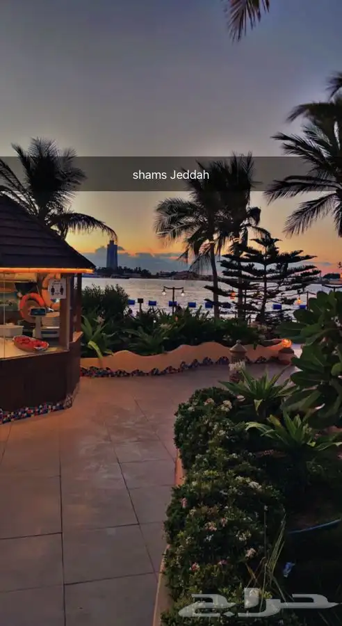 رحلات سباحة وتشميس مالديف جدة 61