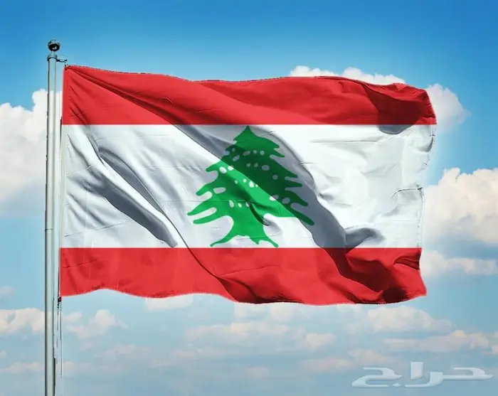 اعلام الدول المنتخبات 6