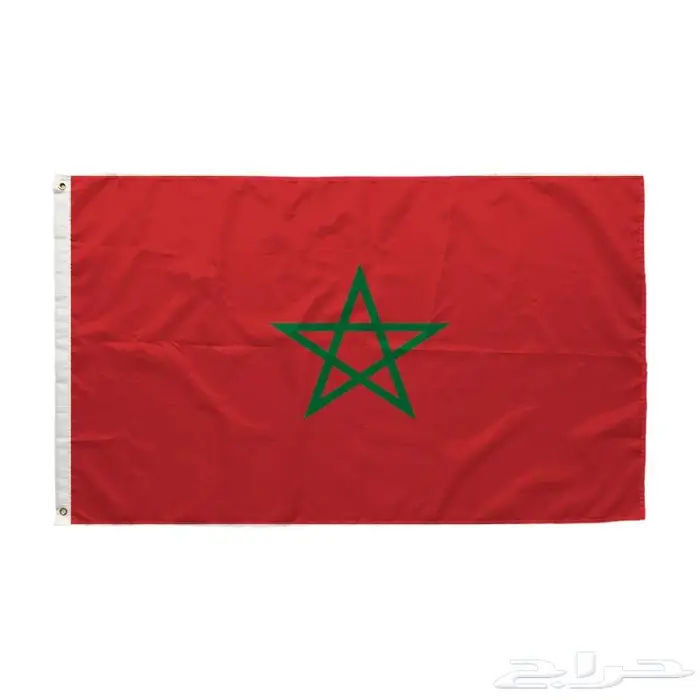 اعلام الدول المنتخبات 2