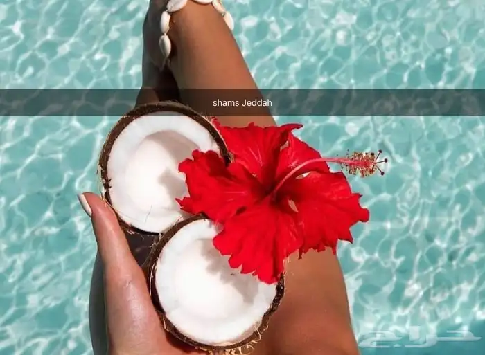 رحلات سباحة وتشميس مالديف جدة 44