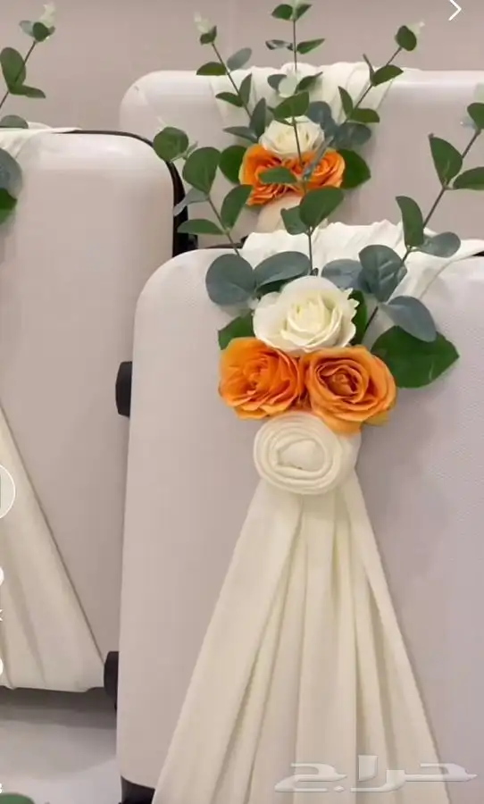ايجار دبش عروس وتشريع 18