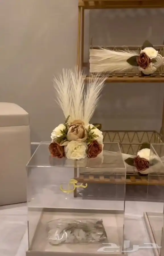 ايجار دبش عروس وتشريع 3
