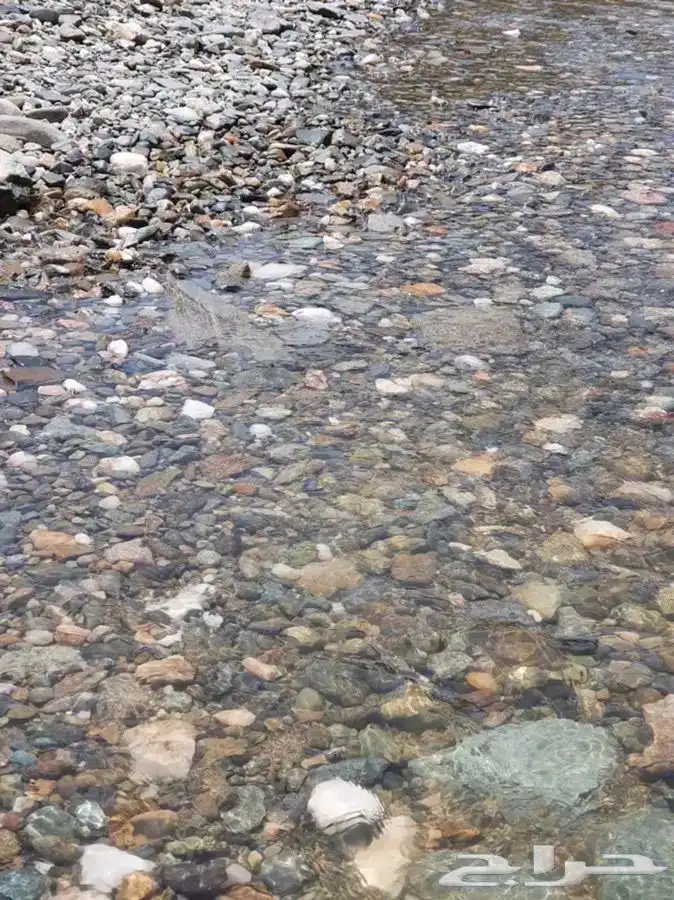 00 حجر مظبي مرخ سلع حجر مرو سمن 00 2