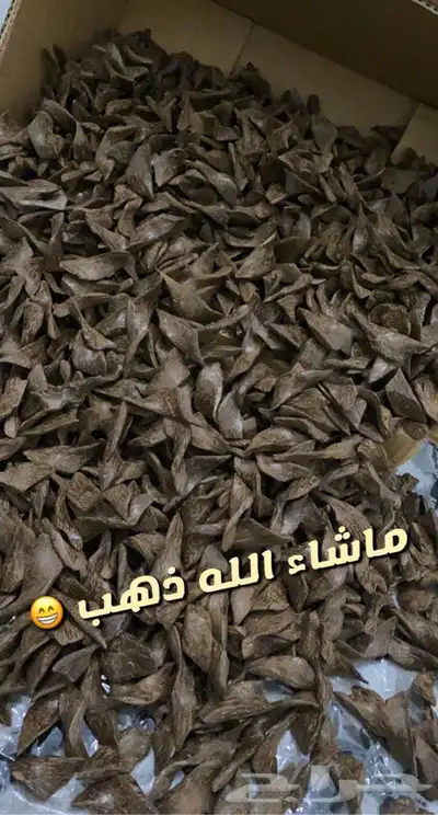 مروكي ند طبيعي 850 ريال index